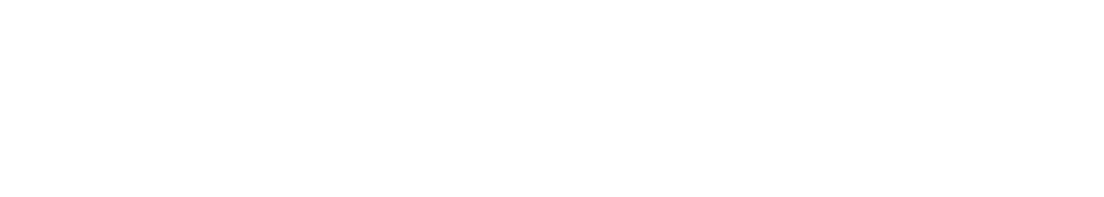 White CrowdStrike Logo